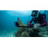 Экшн-камера GoPro HERO 13 Black