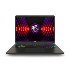 Ноутбук MSI Vector 16 16" 2560x1600 QHD+ 240Hz IPS (Intel Core i9 14900HX, 16GB RAM DDR5, 1TB SSD, NVIDIA GeForce RTX 4060, Windows 11 Pro) A14VFG-246US