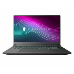 Ноутбук ThundeRobot 911 X17 2560х1440 165Hz 17.3 (Intel Core i7-13620H, 32 GB DDR5, 1 TB SSD, NVIDIA RTX 5070, Windows 11) Black
