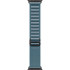Часы Apple Watch Ultra 3, 49 мм, титан светлого цвета, ремешок Alpine голубого цвета (2025)