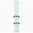 Часы Apple Watch Ultra 2 49mm Black Titanium Case with Black with Ice Blue Ocean Band